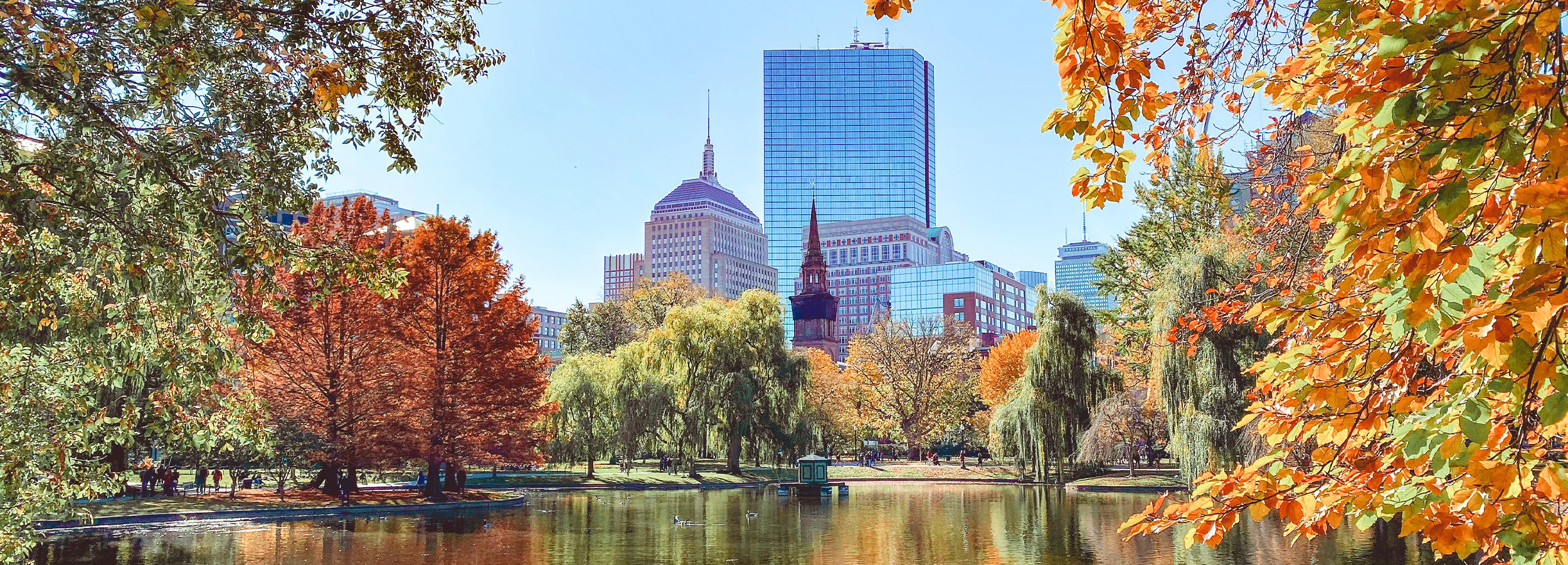 Booking Image - Boston Fall.jpg