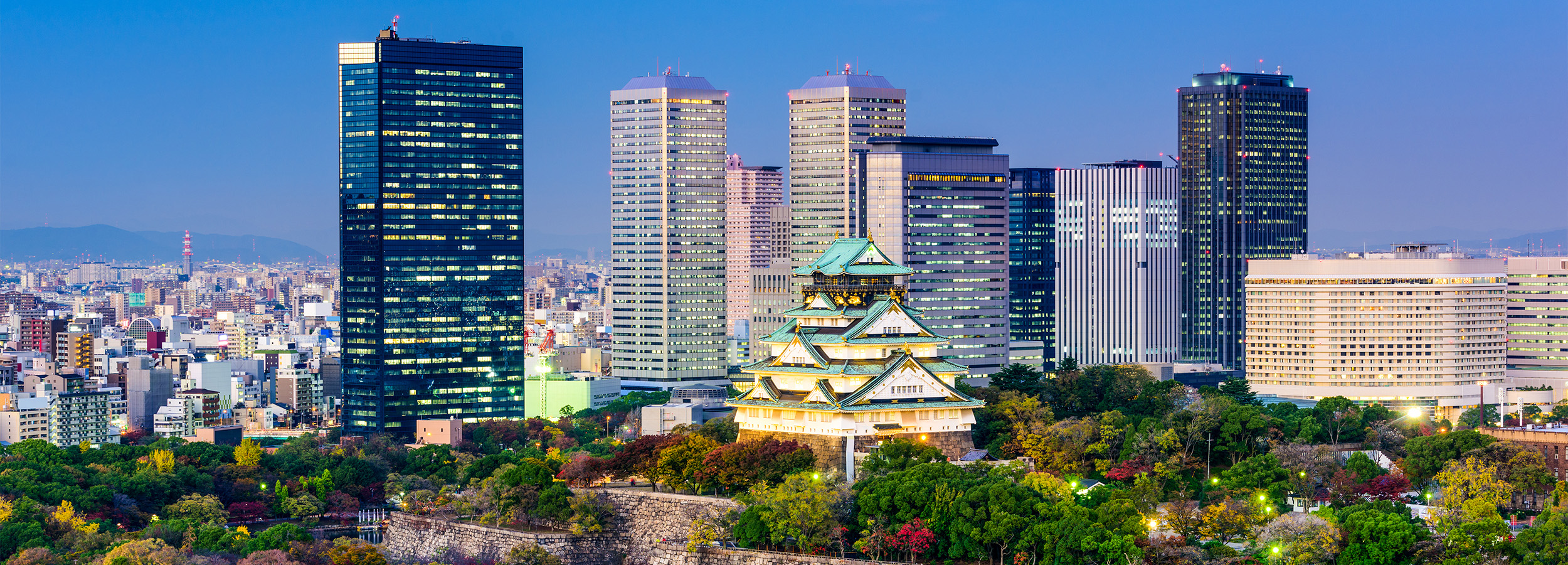 Booking Image - Osaka Skyline.jpg