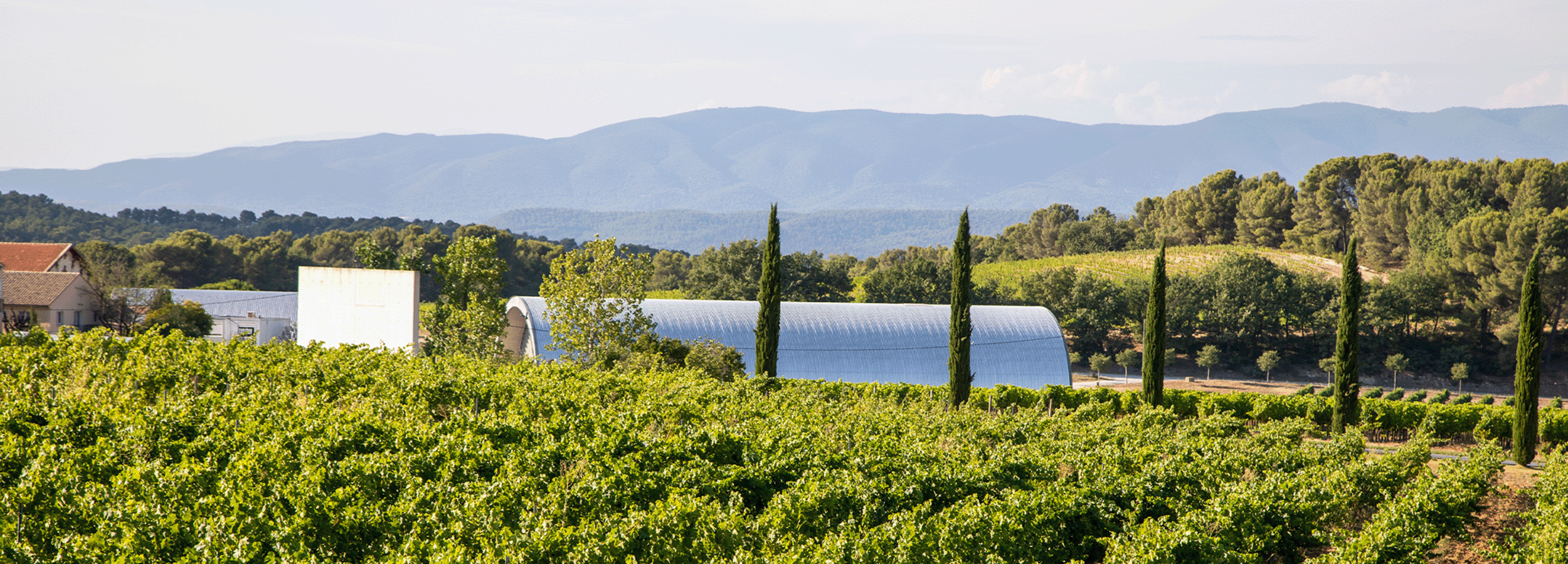 Booking Image - Provence Vineyard.png