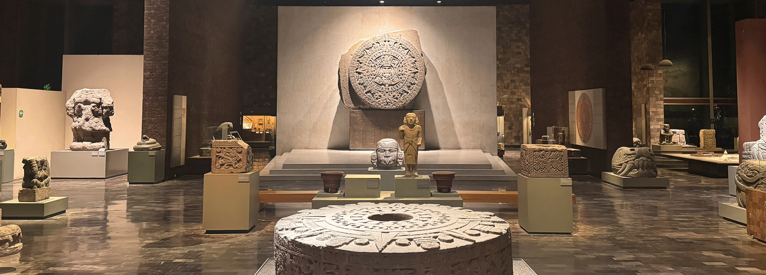 Booking Image - Anthropology Museum.png