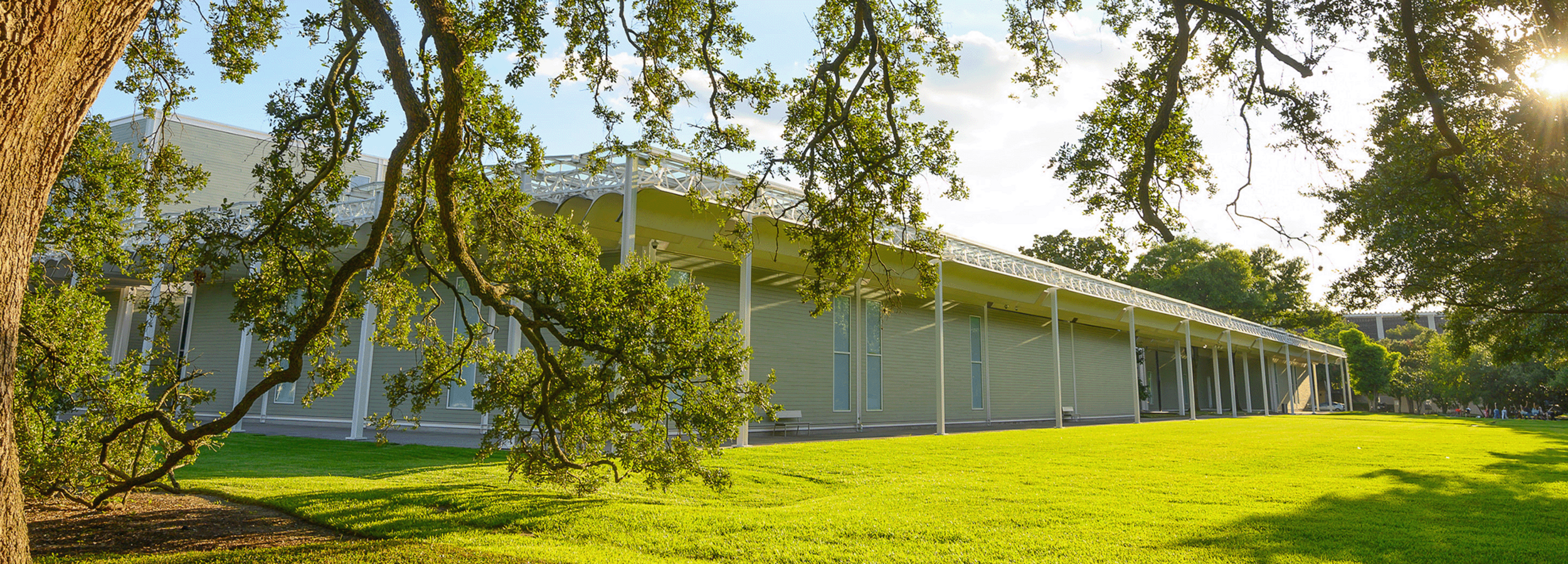 Booking Image - Menil Collection Texas.png